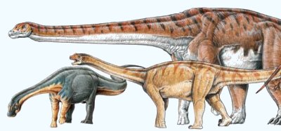 Patagotitan
