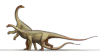 Saltasaurus