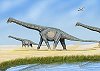 Titanosauria