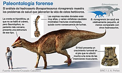 Paleontología Forense