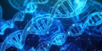 Que el ARN no codificante se reexprese en la mayoría de los tumores humanos refuerza la función del genoma no codificante. Pixabay
