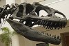 Allosauroidea