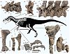 Asfaltorvenator