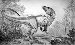 Ilustración de un Megaraptor por Alexande Thomas Lovegrove 