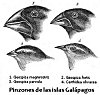 El Origen de las Especies