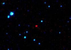 asteroide cercano a la Tierra 