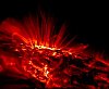 Manchas Solares