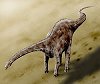 Diplodocidae