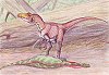 Deltradomeus