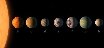 Los siete planetas tienen una masa y tamaño similares a la Tierra. Ilustración: NASA.